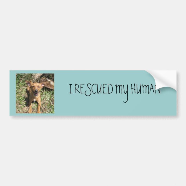 I Rescued my human Bumper Sticker (Front)
