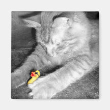 'I Said Don't Feed the Cat' Rubber Duck Magnet