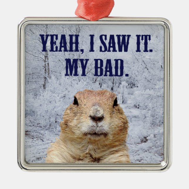 I Saw It Groundhog Day Metal Tree Decoration (Front)