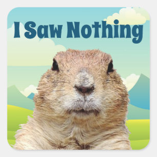 I Saw Nothing on Groundhog Day Square Sticker