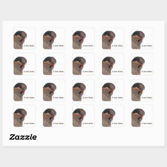 I saw that. Parrot sticker (Sheet)