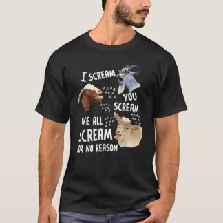 I Scream You Scream We All Scream For No Reason Go T-Shirt