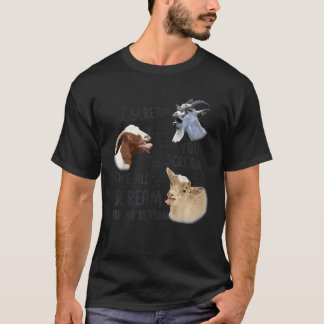 I Scream You Scream We All Scream For No Reason Go T-Shirt