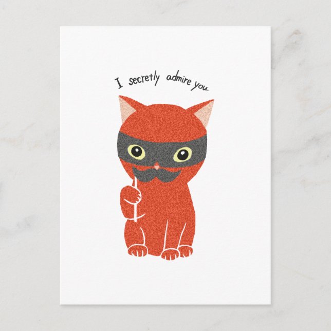 I secretly admire you Funny Cute Cat Postcard (Front)