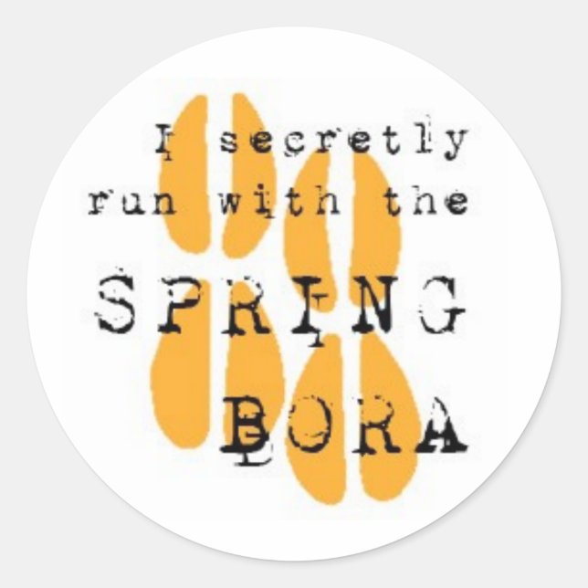 I secretly run with the SPRING BORA Classic Round Sticker (Front)