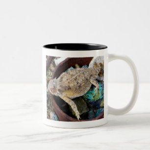 "I see a lizard on a rock" Two-Tone Coffee Mug
