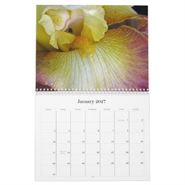 I See An Iris Calendar (Jan 2027)