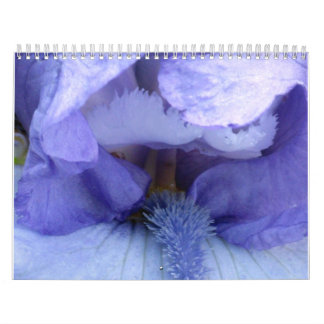 I See An Iris Calendar