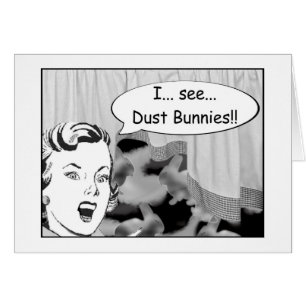 I See Dust Bunnies