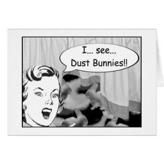 I See Dust Bunnies
