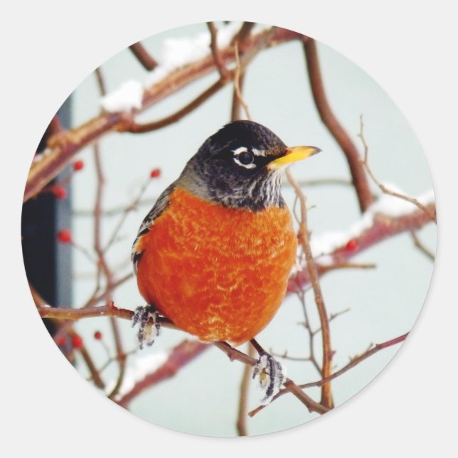 I See Spring Classic Round Sticker (Front)