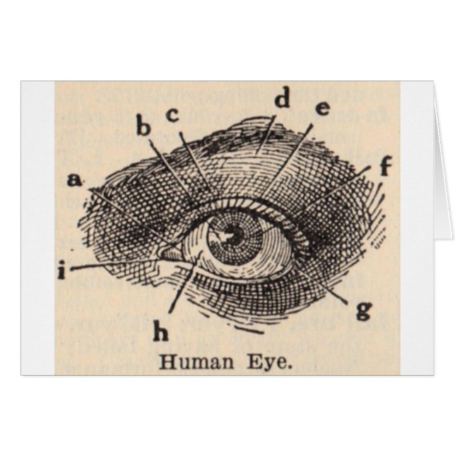 I See You (Front Horizontal)