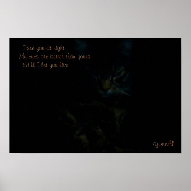 I see you at night Cat Haiku Poster (Front)