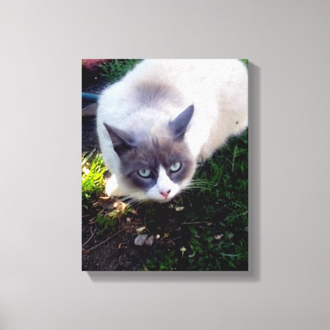 I See You Canvas Print (Front)