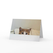 "I see you" - Louie peeks out 