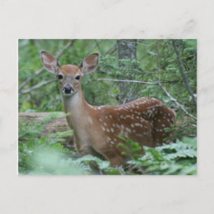 I See You Postcard
