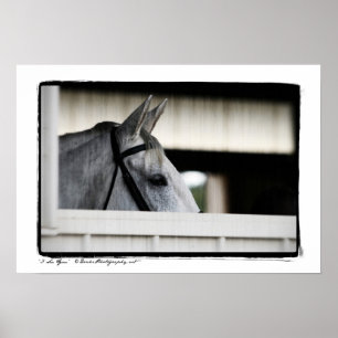 I See you Poster