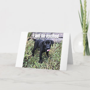 I SEND A SMILE AND SAY ***CONGRATULATIONS*** CARD