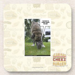 I sez leave my brudder alone coaster
