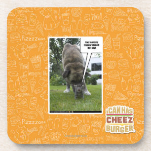 I sez leave my brudder alone coaster