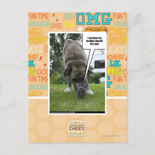 I sez leave my brudder alone postcard