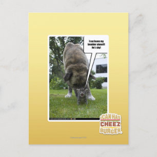 I sez leave my brudder alone postcard