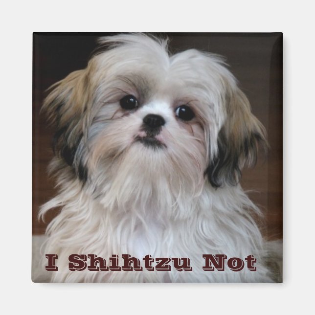 I Shihtzu Not funny shih tzu fridge magnet (Front)