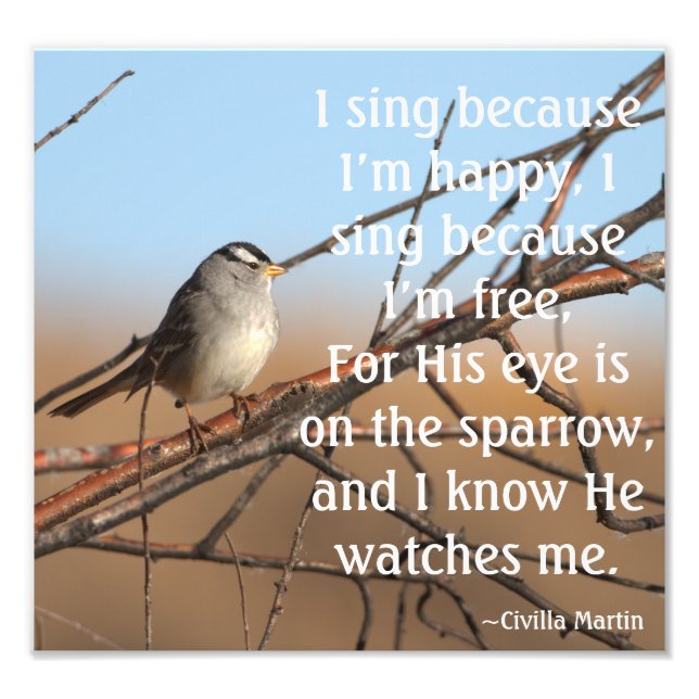 I sing because I'm happy Sparrow Photo Print (Front)