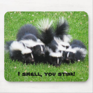 I SMELL You STINK! Mouse Mat