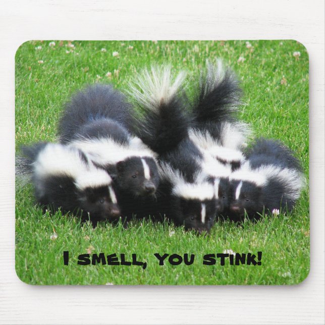 I SMELL You STINK! Mouse Mat (Front)
