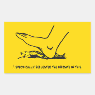 I specifically requested the opposite of this Meme Rectangular Sticker