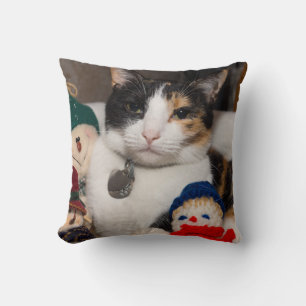 I Spy A Calico Cushion