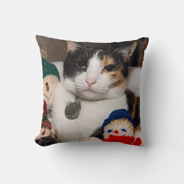 I Spy A Calico Cushion (Front)