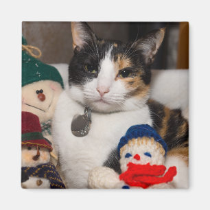 I Spy A Calico Magnet