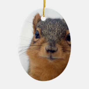 I, Squirrel Ceramic Tree Decoration