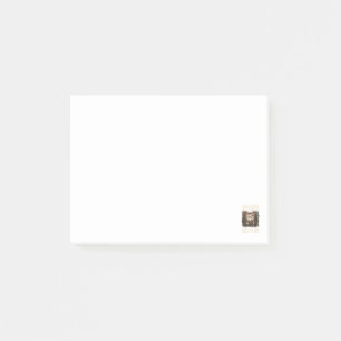 I Stay Home I Read Books I Pet My Cat Funny Cat Post-it Notes