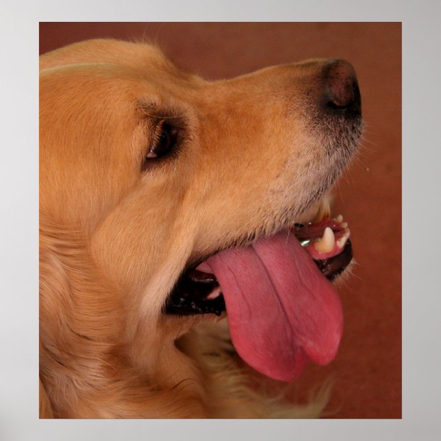 I Still Want More... Poster (Front)