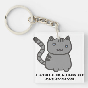 I stole 10 kilos of plutonium cat key ring