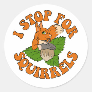 i stop for squirrels bumper classic round sticker