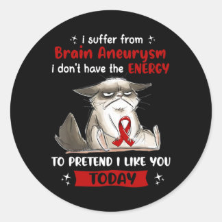 I Suffer From Brain Aneurysm Awareness Fun Cat  Classic Round Sticker