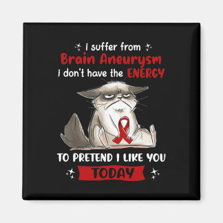 I Suffer From Brain Aneurysm Awareness Fun Cat  Magnet