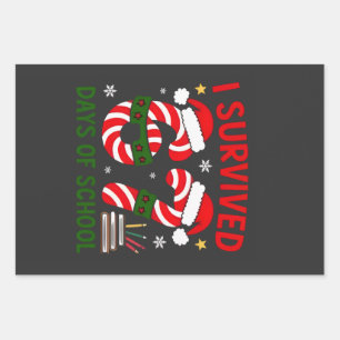 I Survived 67 Days of School Christmas 100 Days   Wrapping Paper Sheet