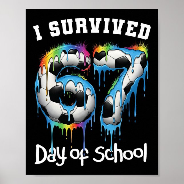 I Survived 67 Days Of School Funny 67 Meme Teacher Poster (Front)