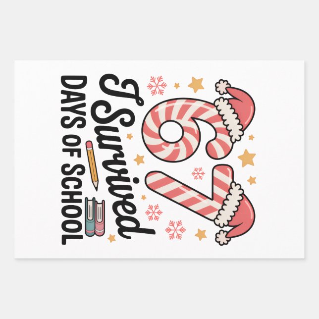 I Survived 67 Days of School Funny Christmas   Wrapping Paper Sheet (Front)