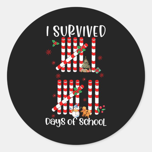 I Survived 67 Days Of School Funny Six Seven Xmas  Classic Round Sticker (Front)
