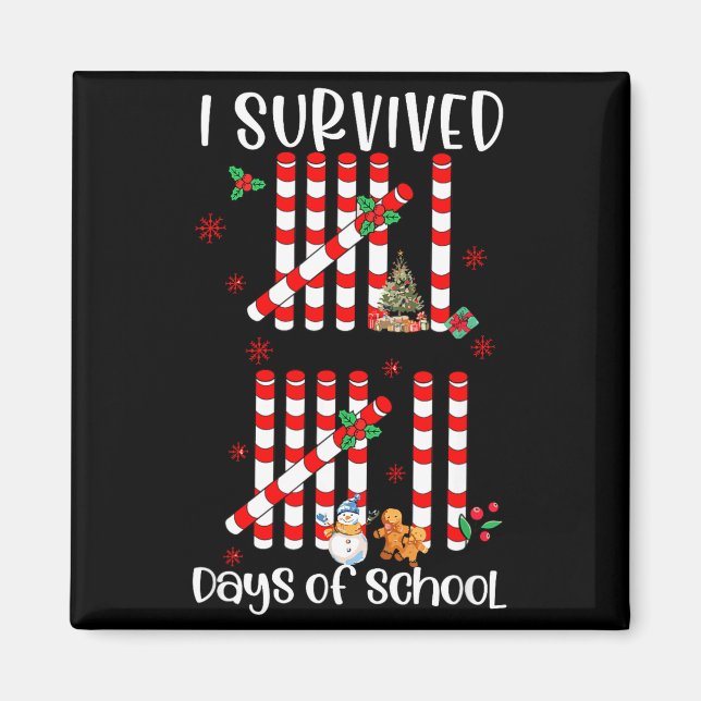 I Survived 67 Days Of School Funny Six Seven Xmas  Magnet (Front)
