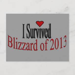 I Survived Blizzard 2013 Postcard