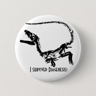I Survived Diagenesis Boton 6 Cm Round Badge