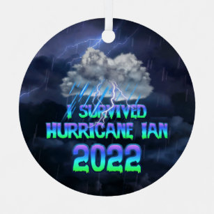 I survived Hurricane Ian 2022 Metal Tree Decoration