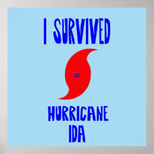 I Survived Hurricane Ida Poster